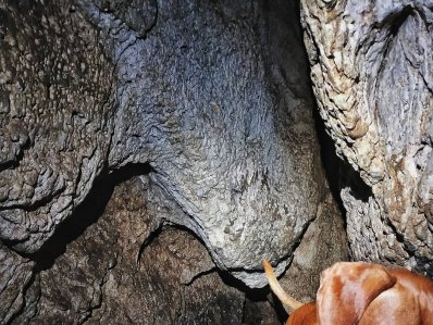 Пещера Партизанская - фото 3