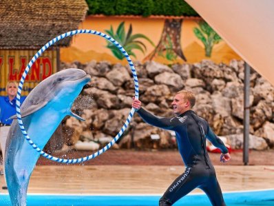 Большой Сочинский дельфинарий Ревьера - фото