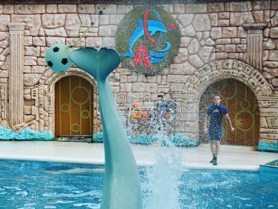 Адлерский дельфинарий - фото 7