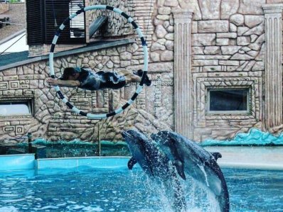 Адлерский дельфинарий - фото 11